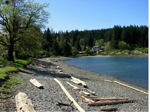 Quadra Trip - Discovery Islands