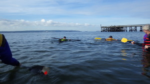 kayak rescue practice in Vancouver