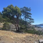 IMG_6508-2.JPEG