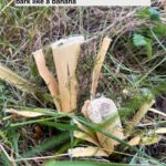 IMG_7585-2.jpeg