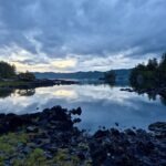 IMG_9841-1-0.jpg