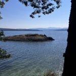 IMG_7700-3.jpeg